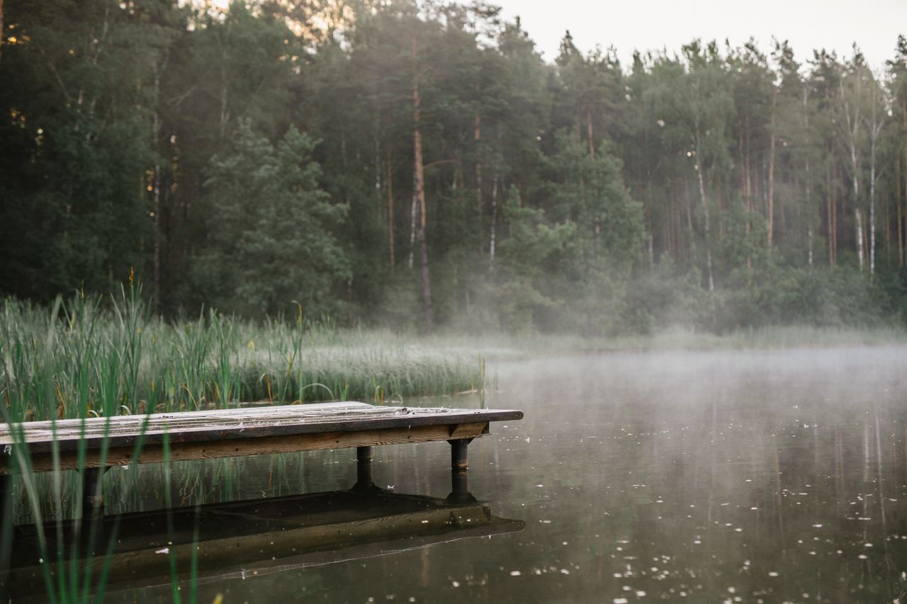 Tranquil view of a misty lake surrounded by lush forest and a wooden dock.